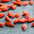 Ningxia οργανικά αποξηραμένα κόκκινα φρούτα goji μούρο